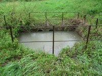 P1050434 1