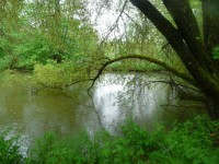 Sous la pluie