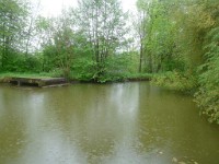 P1050441 1