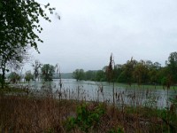 P1050446 1