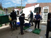 2014.04.18 Travaux temple plantations 12 1