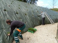 2014.04.18 Travaux temple plantations 15 1