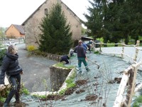 2014.04.18 Travaux temple plantations 32 1