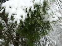 neige08