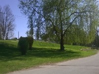 WP 20150421 16 25 03 Pro