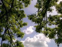 WP 20150517 14 25 30 Pro