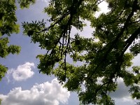 WP 20150517 14 25 34 Pro