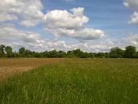 WP 20150517 14 29 40 Pro