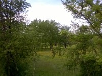 WP 20150517 14 43 04 Pro