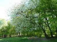 printemps201514