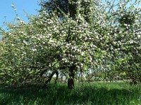 printemps201526
