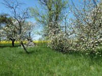 printemps201528