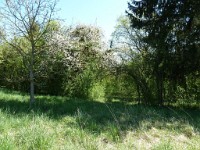 printemps201539