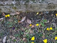 WP 20150303 13 32 39 Pro