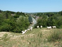 15 Juillet 201540