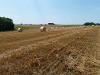15 Juillet 201554