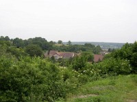 P1010009 1