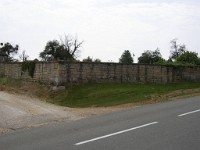 P1010010 1