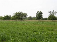 P1010013 1