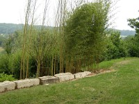P1010020 1
