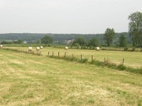P1010022 1