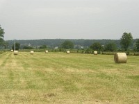 P1010023 1