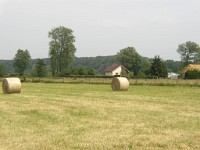 P1010025 1