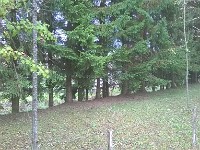 WP 20151011 005 1