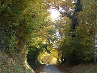 IMGP1939 1