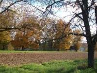 IMGP1943 1