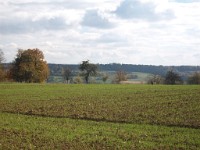 IMGP1947 1