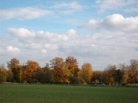 IMGP1948 1