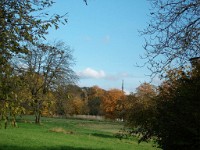 IMGP1950 1