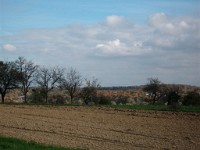 IMGP1951 1