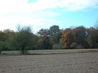 IMGP1952 1