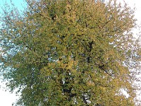 IMGP1953 1