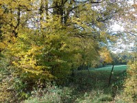 IMGP1958 1