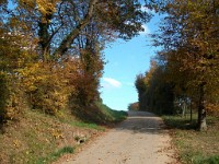 IMGP1960 1