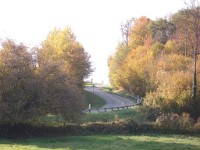 IMGP1963 1