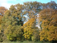 IMGP1965 1