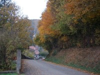 IMGP1987 1