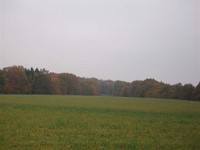IMGP1990 1