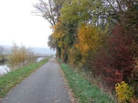 IMGP1995 1