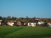 IMGP2008 1