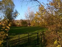 automne39 1