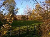 automne40 1