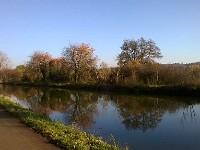 automne41 1