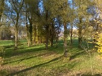 automne43 1