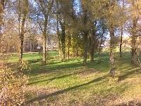 automne44 1