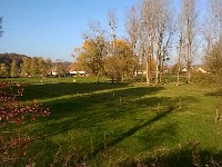 automne47 1